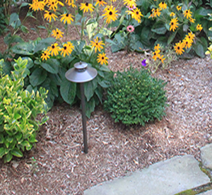 Irrigation Cape Cod