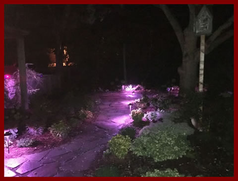 Landscape Lighting Cape Cod