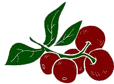 Cranberry Irrigation & Landscaping
